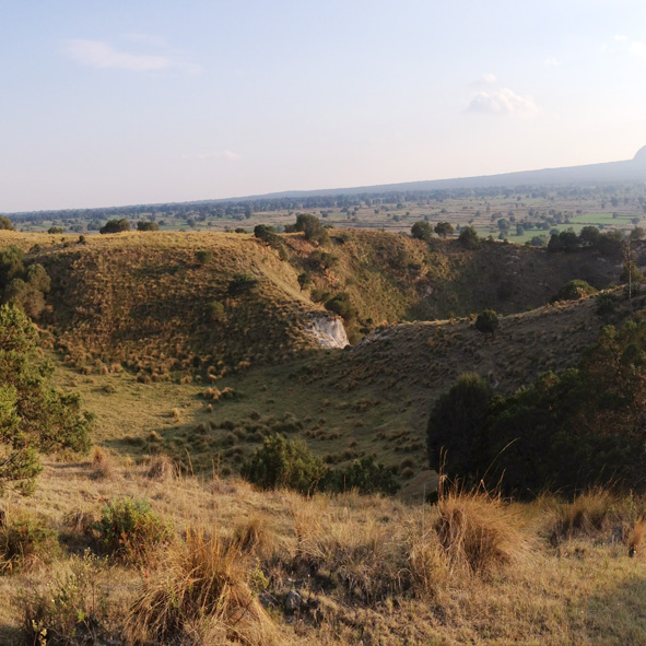 Cerro de Xalapasco